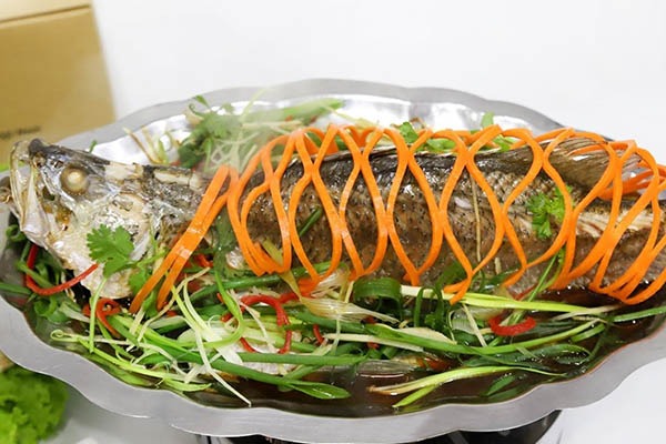 Dinh dưỡng của cá chẽm